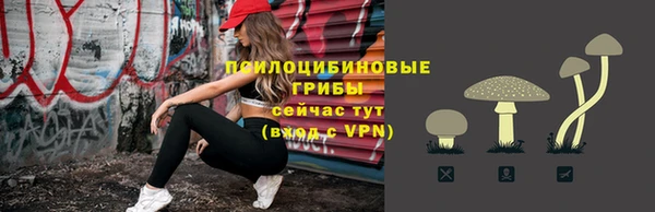 дживик Няндома