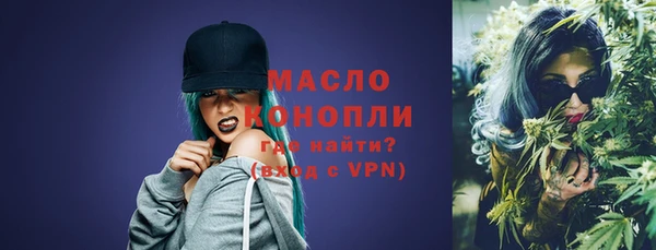 индика Нязепетровск