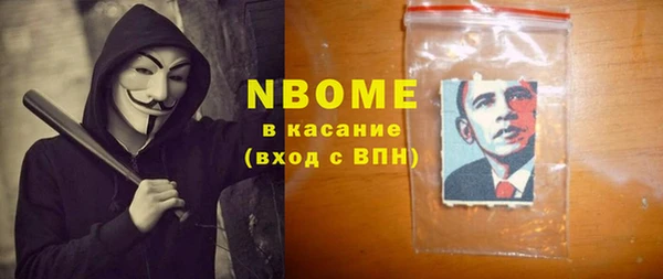 дживик Няндома