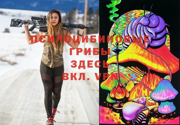 индика Нязепетровск