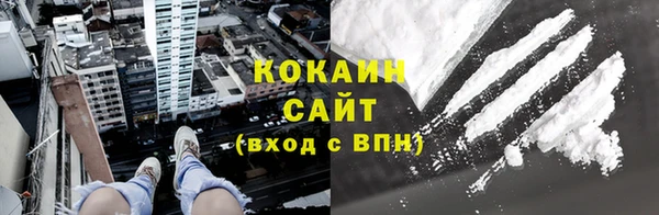 дживик Няндома